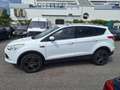 Ford Kuga Trend 2WD 2,0D 1.Hand Weiß - thumbnail 2