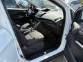 Ford Kuga Trend 2WD 2,0D 1.Hand Weiß - thumbnail 12