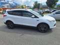 Ford Kuga Trend 2WD 2,0D 1.Hand Weiß - thumbnail 4
