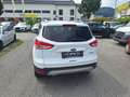 Ford Kuga Trend 2WD 2,0D 1.Hand Weiß - thumbnail 11