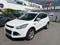 Ford Kuga Trend 2WD 2,0D 1.Hand Weiß - thumbnail 3