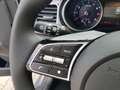 Kia Ceed SW / cee'd SW Sportswagon Edition 30 Full LED Navi 17"LM 1.5 ... Gris - thumbnail 14