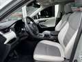 Toyota RAV4 2.5l 220H Luxury 4WD Verde - thumbnail 10