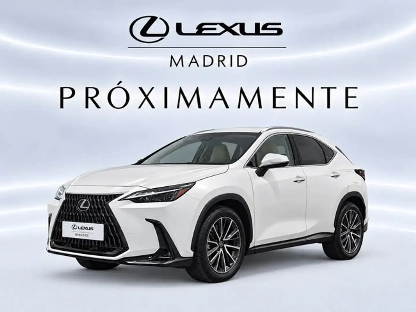 Lexus NX 450h+ Premium+ 4WD Blanco - 1