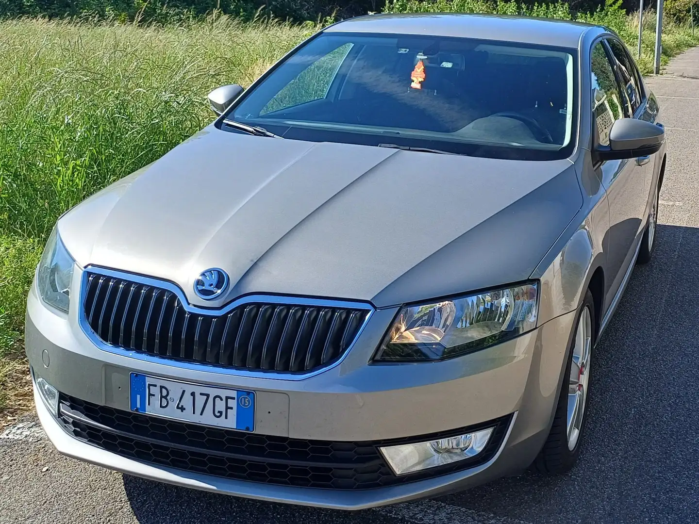 Skoda Octavia Octavia III 2013 Berlina 1.6 tdi cr 105cv dsg Grigio - 1