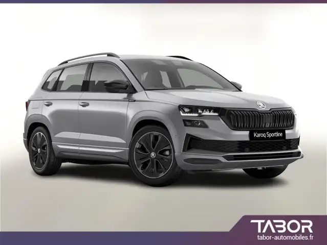 Skoda Karoq DSG Sportl Matrix GPS 360 ACC Kessy