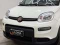 Fiat Panda Panda III 2023 1.0 firefly hybrid Bianco - thumbnail 13