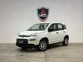 Fiat Panda Panda III 2023 1.0 firefly hybrid Bianco - thumbnail 1