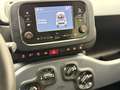 Fiat Panda Panda III 2023 1.0 firefly hybrid Bianco - thumbnail 11