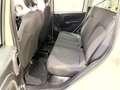 Fiat Panda Panda III 2023 1.0 firefly hybrid Bianco - thumbnail 9