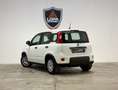 Fiat Panda Panda III 2023 1.0 firefly hybrid Bianco - thumbnail 4