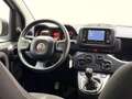 Fiat Panda Panda III 2023 1.0 firefly hybrid Bianco - thumbnail 7