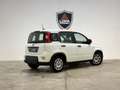 Fiat Panda Panda III 2023 1.0 firefly hybrid Bianco - thumbnail 5