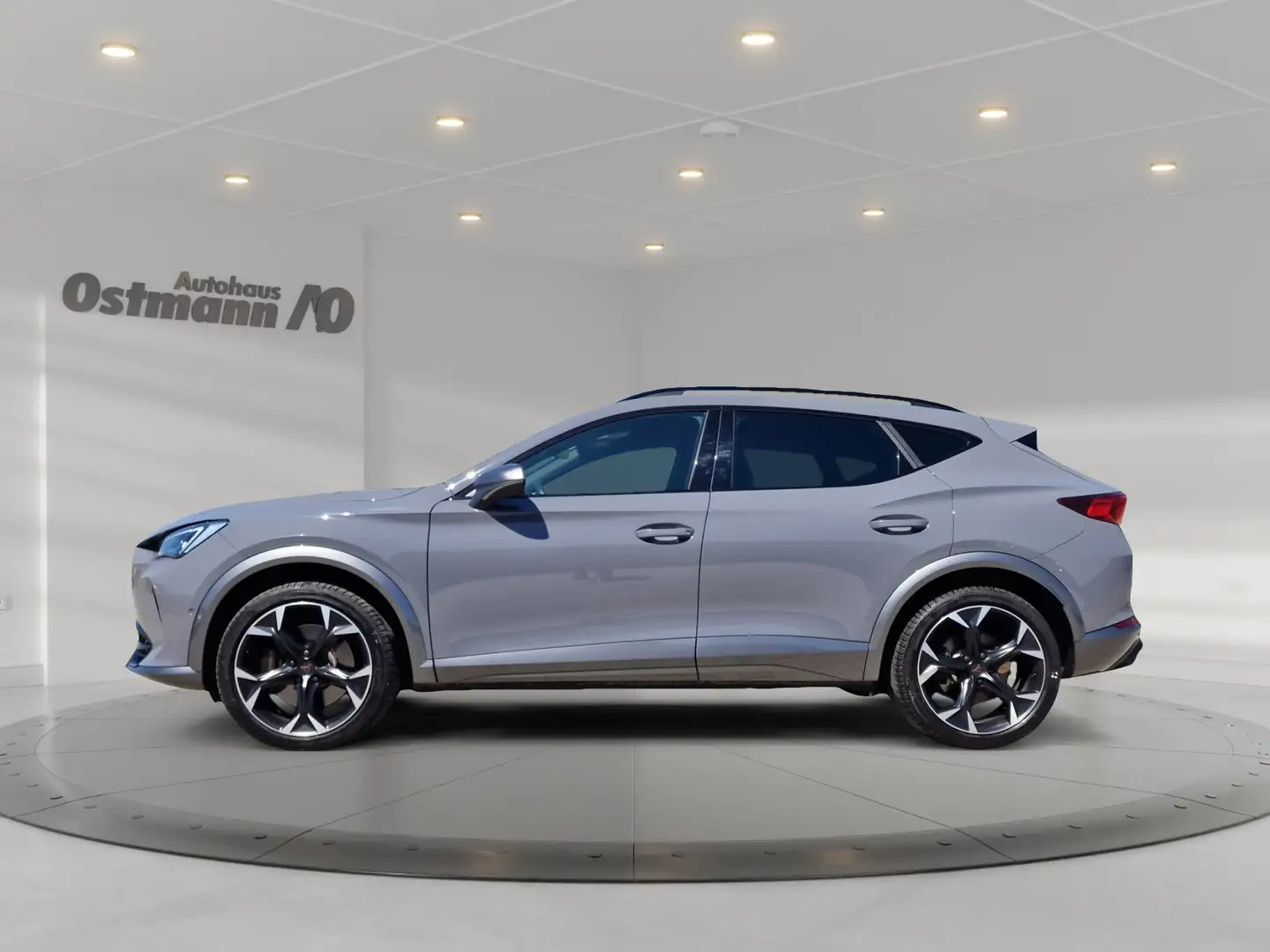 CUPRA Formentor 2.0 TSI 4Drive VZ DCC AHK ACC KAM NAV Grijs - 2
