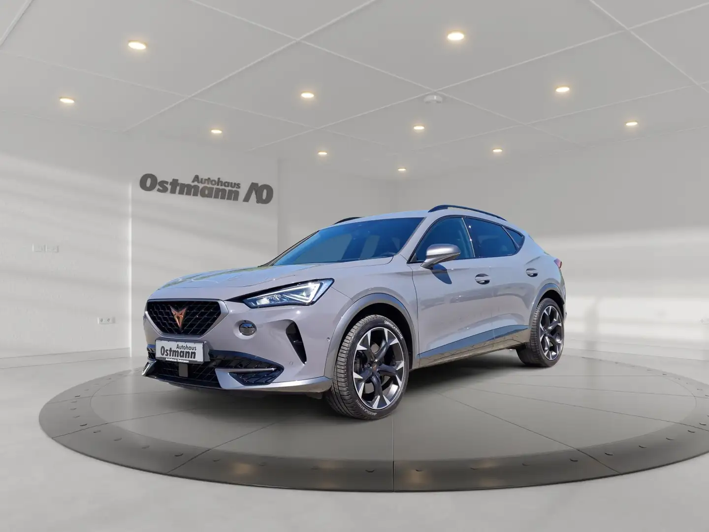 CUPRA Formentor 2.0 TSI 4Drive VZ DCC AHK ACC KAM NAV Grijs - 1