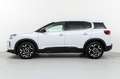 Citroen C5 Aircross Hybrid Plus e-DCS6 136 Blanco - thumbnail 8