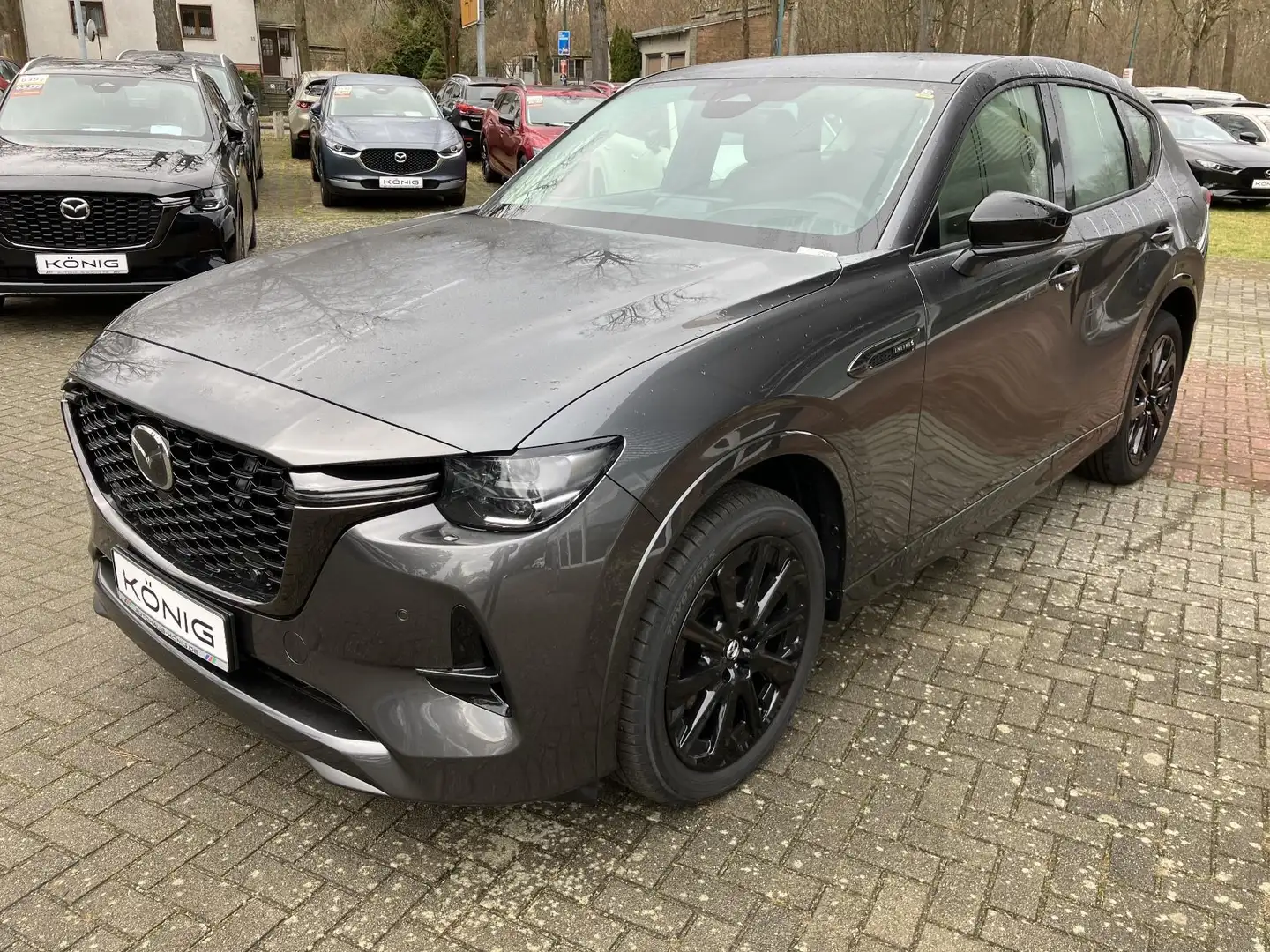 Mazda CX-60 e-SKYACTIV-D 254 HOMURA Glasdach Grau - 1