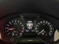 Skoda Octavia Combi 1,6 TDI Ambition 4x4 AHK - SHZ - TEMPOMAT Grau - thumbnail 35