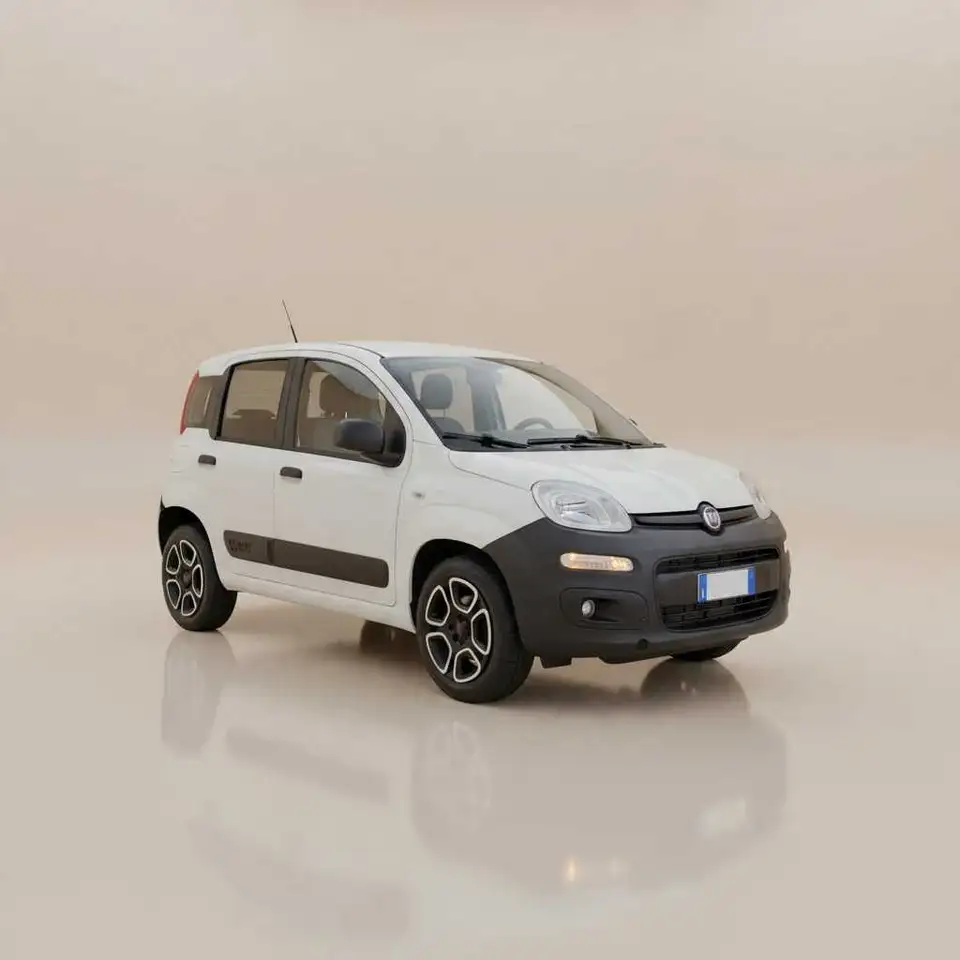 Fiat Unknown