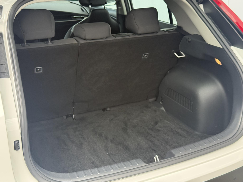 Kia e-Niro EV Light Edition 64.8 kWh | Adaptive Cruise Contro — photo 12