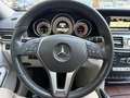 Mercedes-Benz E 220 Berlina cdi Executive FL Argento - thumbnail 9