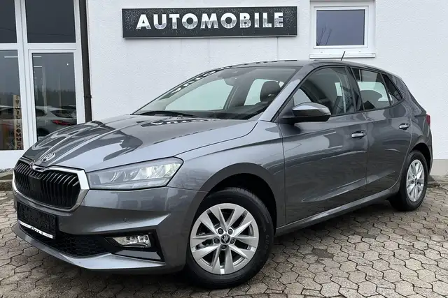 2025 Skoda Fabia in Grey for sale