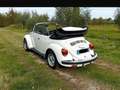 Volkswagen Maggiolino Karmann Weiß - thumbnail 13