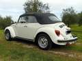 Volkswagen Maggiolino Karmann Weiß - thumbnail 14