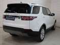 Land Rover Discovery 5 SE SD4 LED Navi PDC Kamera 8-fach Weiß - thumbnail 6
