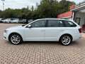 Skoda Octavia Octavia 2.0 TDI SCR 150 CV DSG Bianco - thumbnail 4