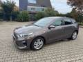 Kia Ceed / cee'd Braun - thumbnail 4