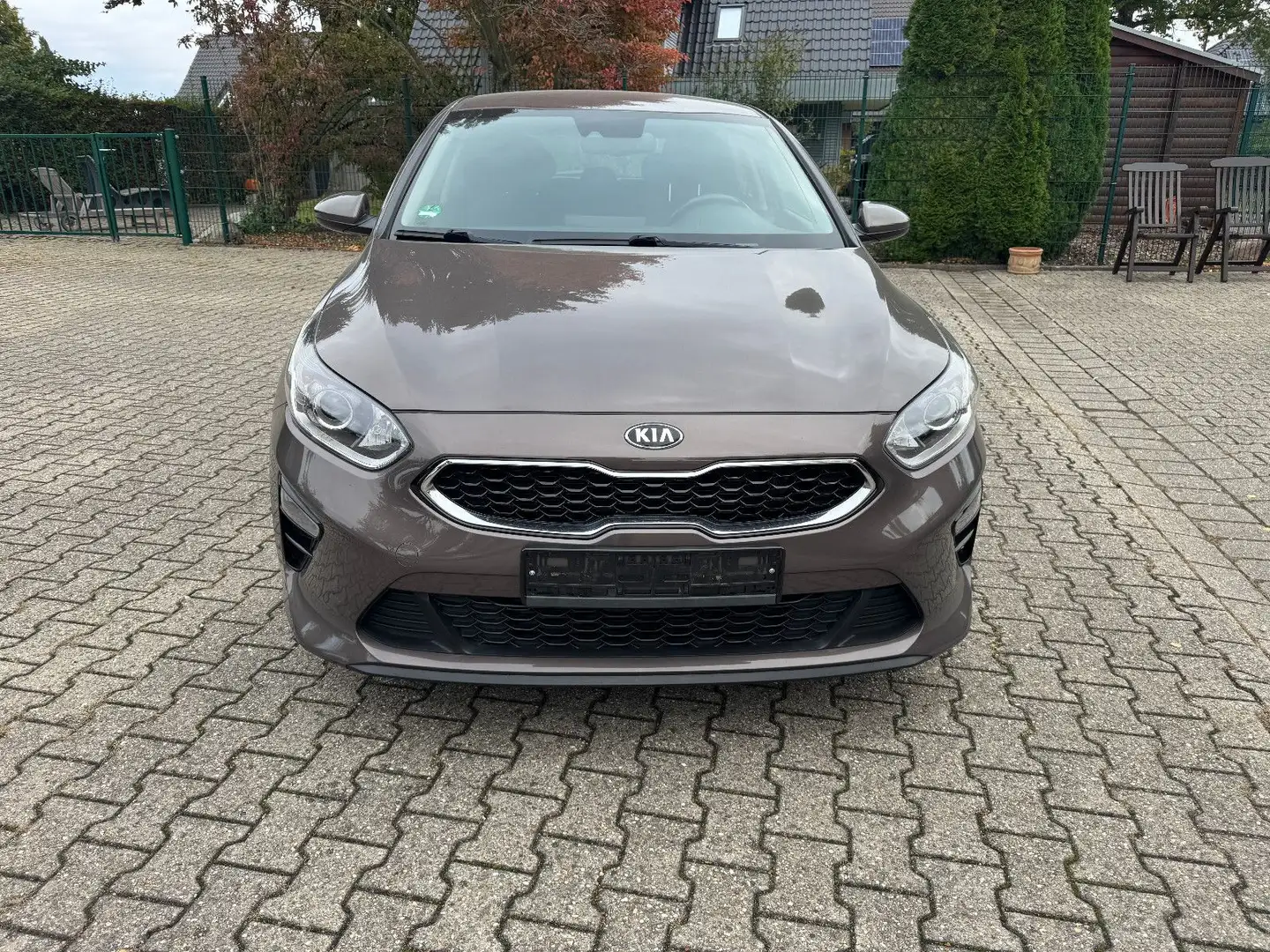 Kia Ceed / cee'd Braun - 1