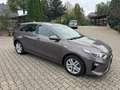 Kia Ceed / cee'd Braun - thumbnail 3