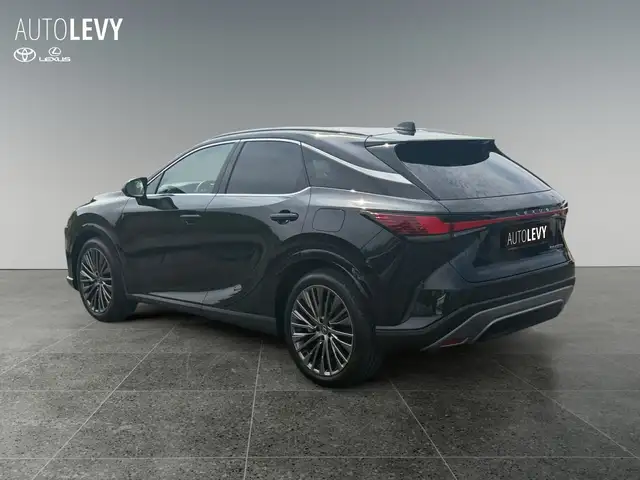 Lexus RX view 4