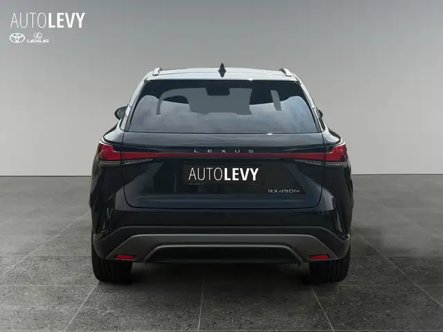 Lexus RX view 5