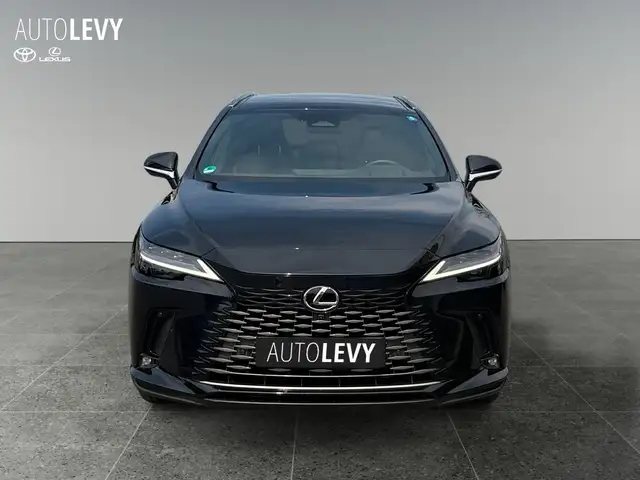 Lexus RX view 9