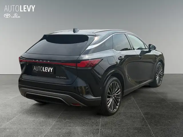 Lexus RX view 6