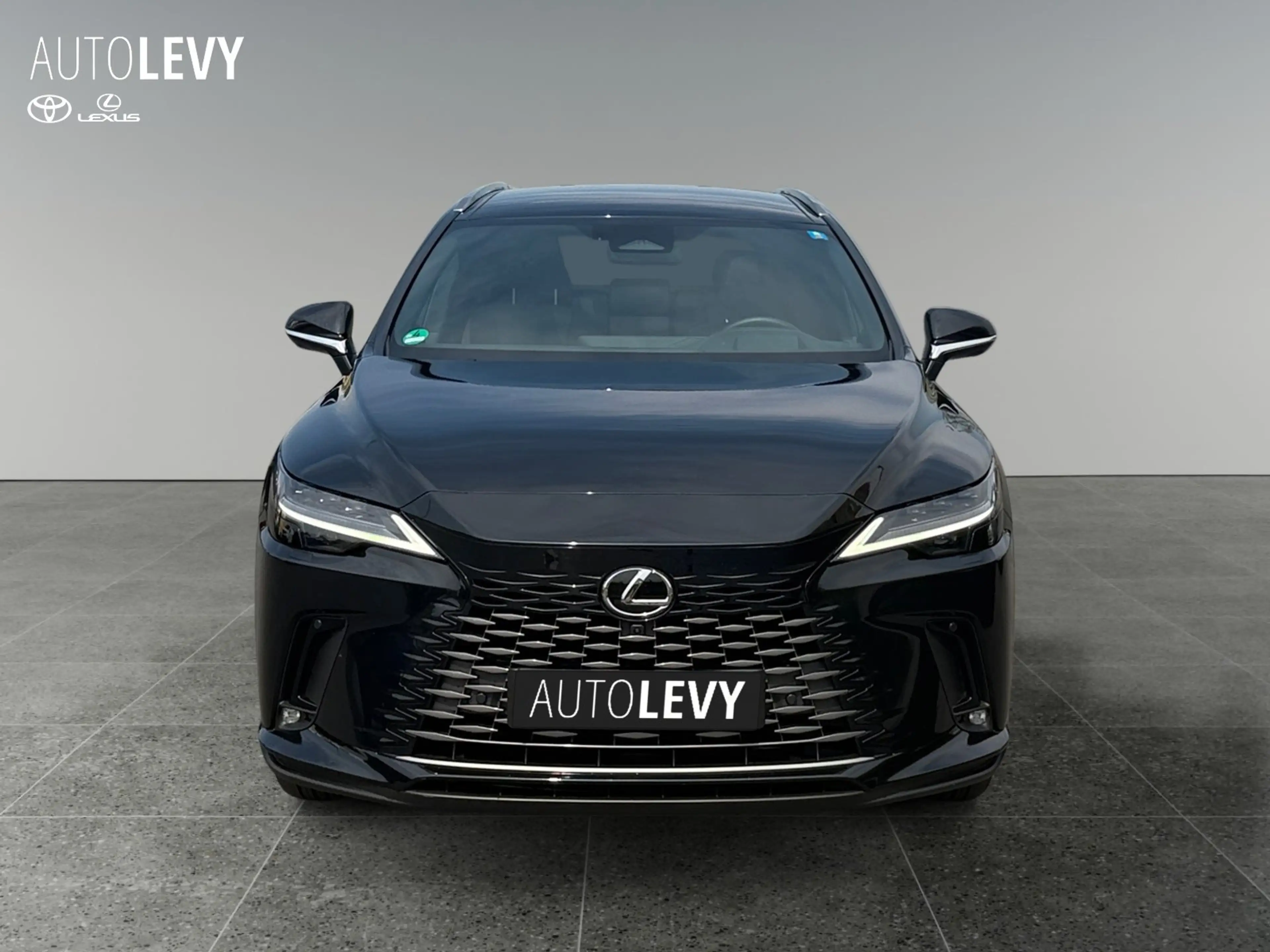 Lexus RX 450h RX450h+ E-Four Luxury Pano+MarkLevinson+Sofort — photo 9
