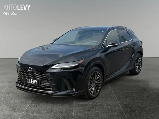 Lexus RX view 2