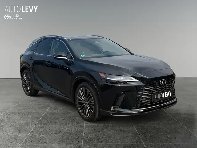 Lexus RX view 8