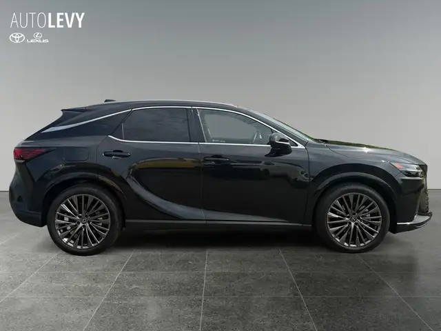 Lexus RX view 7