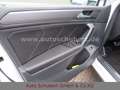 Volkswagen Tiguan 1.5 TSI DSG R-Line Weiß - thumbnail 13