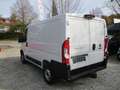 Fiat Ducato 140 L1H1 inkl. Holzboden u. Seitenverkleidung Weiß - thumbnail 6