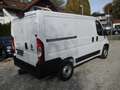 Fiat Ducato 140 L1H1 inkl. Holzboden u. Seitenverkleidung Weiß - thumbnail 4