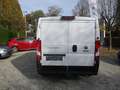 Fiat Ducato 140 L1H1 inkl. Holzboden u. Seitenverkleidung Weiß - thumbnail 5