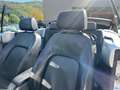 Volkswagen New Beetle 1.9 TDI 101CV Cabrio Gris - thumbnail 11