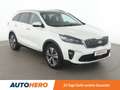 Kia Sorento 2.2 CRDi Platinum Edition 4WD Aut*NAVI*LED*ACC*CAM Weiß - thumbnail 8