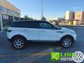 Land Rover Range Rover Evoque 2.2 TD4 5p. Pure Bianco - thumbnail 4