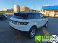 Land Rover Range Rover Evoque 2.2 TD4 5p. Pure Bianco - thumbnail 5