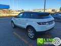 Land Rover Range Rover Evoque 2.2 TD4 5p. Pure Bianco - thumbnail 7